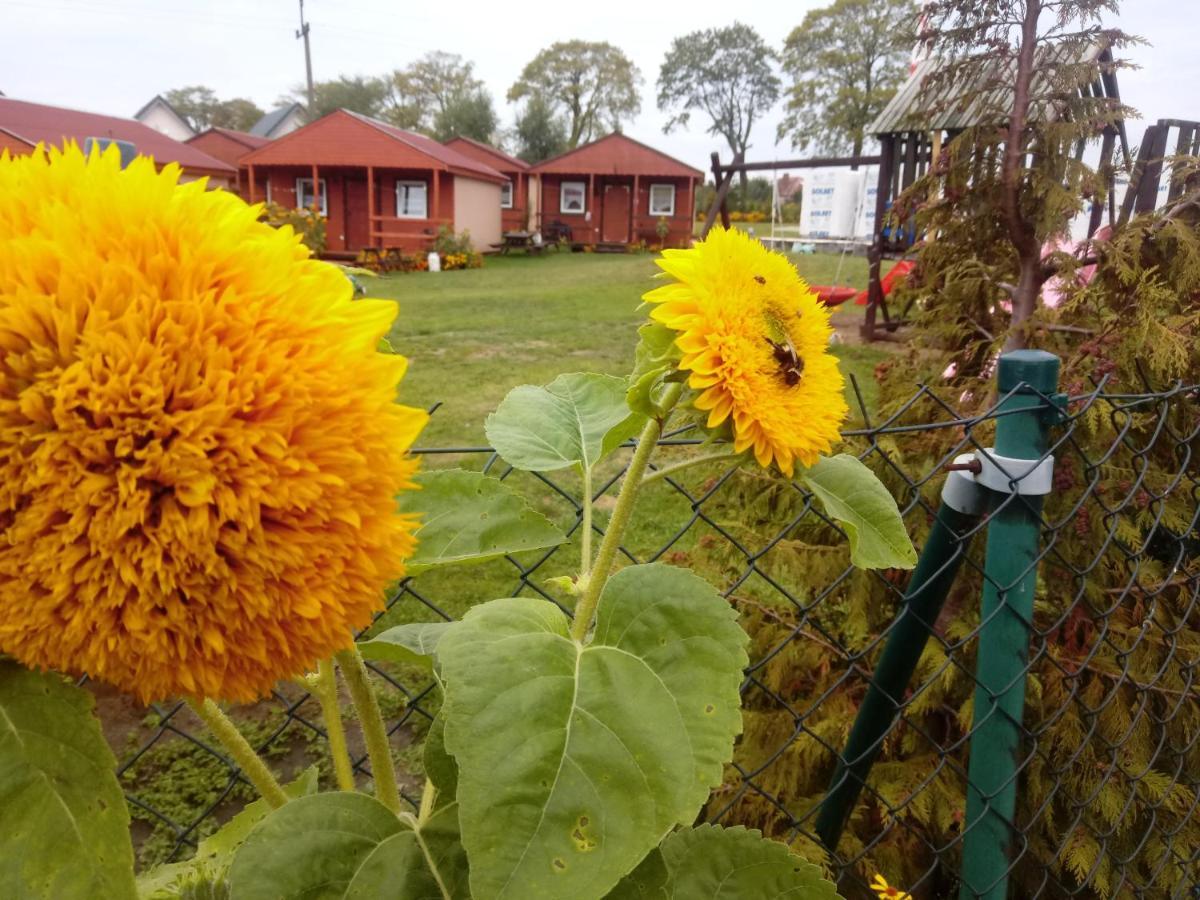 Agroturystyka Domki Eden Sarbinowo Bagian luar foto
